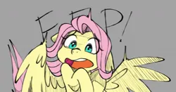 Size: 1200x628 | Tagged: safe, artist:shelti, derpibooru import, fluttershy, pegasus, pony, eep, floppy ears, gray background, image, jpeg, open mouth, simple background, solo, spread wings, startled, wings