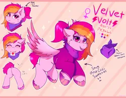 Size: 4096x3186 | Tagged: safe, artist:legionsunite, derpibooru import, oc, oc:velvet volt, pegasus, pony, :3, bandana, butt, clothes, female, flying, image, looking at you, mare, plot, png, ponytail, reference sheet, sign, sweater, text