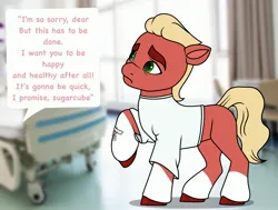 Size: 2706x2048 | Tagged: safe, artist:dancingkinfiend, derpibooru import, phyllis cloverleaf, sprout cloverleaf, earth pony, pony, my little pony: a new generation, blonde, blonde hair, blonde mane, blonde tail, caption, coat markings, colored hooves, comic, conversation, derpibooru exclusive, doctor, frown, g5, green eyes, high res, hooves, hospital, hospital gown, image, image macro, jpeg, male, medical, needle, raised hoof, red fur, sad, scared, socks (coat marking), solo, speech, speech bubble, stallion, surgery, tail, talking, text, wavy hair, wavy mane, wavy tail