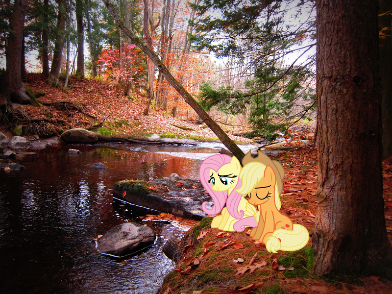 Size: 2048x1536 | Tagged: safe, artist:estories, artist:jaredking779, artist:realgamerkitten, derpibooru import, applejack, fluttershy, earth pony, pegasus, pony, autumn, concord, cowboy hat, eyes closed, female, hat, image, irl, jpeg, leaves, mare, new hampshire, photo, ponies in real life, sitting, smiling, stetson