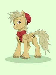 Size: 1620x2160 | Tagged: artist needed, safe, derpibooru import, oc, oc:coffee coat, unofficial characters only, pegasus, pony, image, png, solo