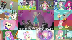 Size: 1978x1114 | Tagged: safe, derpibooru import, edit, edited screencap, editor:quoterific, screencap, angel bunny, fluttershy, pinkie pie, rarity, sci-twi, twilight sparkle, a little birdie told me, epic fails (equestria girls), eqg summertime shorts, equestria girls, equestria girls series, fluttershy's butterflies, holidays unwrapped, i'm on a yacht, legend of everfree, lost and pound, road trippin, spring breakdown, stressed in show, super squad goals, the finals countdown, spoiler:eqg series (season 2), blizzard or bust, geode of fauna, image, magical geodes, png