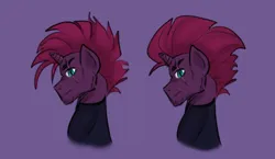 Size: 2314x1343 | Tagged: safe, artist:daazzlin, derpibooru import, tempest shadow, unicorn, alternate hairstyle, broken horn, cheek fluff, chin fluff, cyclone shade, eye scar, facial scar, horn, image, mohawk, png, profile, rule 63, scar, solo