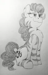 Size: 1452x2232 | Tagged: safe, artist:anonymous, derpibooru import, oc, oc:rampage, unofficial characters only, earth pony, pony, fallout equestria, fallout equestria: project horizons, chest fluff, fanfic art, image, jpeg, paper, sitting, smug, solo, traditional art