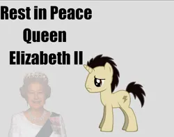 Size: 830x650 | Tagged: safe, derpibooru import, oc, oc:power bolt, human, pony, unicorn, pony creator, death, female, frown, gray background, hooves, image, low effort, male, photo, png, queen elizabeth ii, rest in peace, sad, simple background, stallion, text, upset