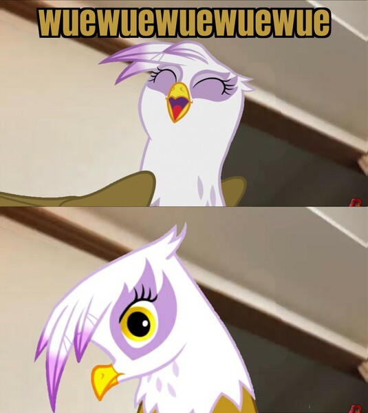 Size: 1385x1552 | Tagged: safe, derpibooru import, edit, edited screencap, screencap, gilda, gryphon, behaving like a bird, caption, catbird, comic, griffons doing bird things, gumi (parrot), hideaki utsumi, image, jpeg, looking at you, meme, photo, reference, screencap comic, solo, text, youtube link in the description