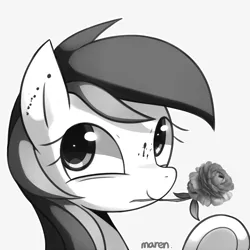 Size: 1800x1800 | Tagged: safe, alternate version, artist:maren, derpibooru import, roseluck, pony, 2014, blood, bust, female, flower, flower in mouth, image, monochrome, mouth hold, old art, png, rose, smiling, solo