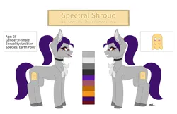 Size: 3000x1948 | Tagged: safe, artist:melodytheartpony, derpibooru import, oc, oc:spectral shroud, earth pony, ghost, undead, chest fluff, choker, female, feral, ghost hunter, glasses, image, lesbian, png, ponytail, reference sheet, signature, simple background, white background