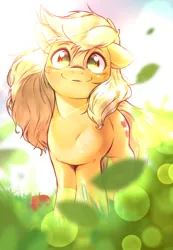 Size: 1152x1668 | Tagged: safe, artist:kurogewapony, derpibooru import, applejack, earth pony, pony, apple, cute, female, food, hatless, image, jackabetes, lens flare, looking at you, loose hair, mare, missing accessory, png, smiling, smiling at you, solo