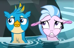 Size: 1067x698 | Tagged: safe, derpibooru import, screencap, gallus, silverstream, gryphon, seapony (g4), what lies beneath, duo, female, image, male, png, seapony silverstream, water