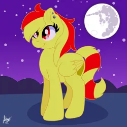 Size: 2048x2048 | Tagged: safe, artist:jay_wackal, derpibooru import, oc, oc:marmalade, unofficial characters only, pegasus, pony, image, night, pegasus oc, png, wings