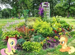 Size: 2048x1513 | Tagged: safe, artist:dashiesparkle, artist:jaredking779, derpibooru import, applejack, fluttershy, earth pony, pegasus, pony, cowboy hat, female, flower, garden, hat, image, irl, jpeg, lying down, mare, minneapolis, minnesota, open mouth, photo, ponies in real life, prone, sitting, smiling, stetson