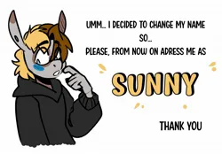 Size: 2048x1423 | Tagged: safe, artist:lrusu, derpibooru import, oc, oc:primitive, oc:sunny (lrusu), unofficial characters only, anthro, hybrid, mule, pegasus, blushing, clothes, hoodie, image, jpeg, male, name change, pegamule, simple background, solo, text, white background