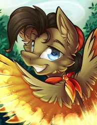 Size: 2550x3300 | Tagged: safe, artist:mychelle, derpibooru import, oc, oc:khaobrush graiden, pegasus, pony, image, male, png, solo, stallion