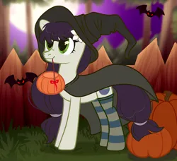 Size: 1800x1640 | Tagged: safe, artist:ayamiiii, derpibooru import, oc, oc:sawa (ice1517), unofficial characters only, bat, earth pony, pony, bucket, cape, clothes, commission, female, fence, grass, halloween, hat, holiday, image, jack-o-lantern, mare, mouth hold, png, pumpkin, socks, solo, striped socks, witch, witch costume, witch hat, ych result