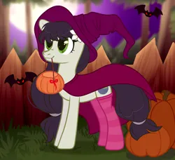 Size: 1800x1640 | Tagged: safe, alternate version, artist:ayamiiii, derpibooru import, oc, oc:sawa (ice1517), unofficial characters only, bat, earth pony, pony, bucket, cape, clothes, commission, female, fence, grass, halloween, hat, holiday, image, jack-o-lantern, mare, mouth hold, png, pumpkin, socks, solo, striped socks, witch, witch costume, witch hat, ych result
