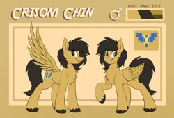 Size: 4700x3200 | Tagged: safe, artist:kaylerustone, derpibooru import, oc, oc:crisom chin, unofficial characters only, pegasus, pony, image, jpeg, looking at you, male, reference sheet, spread hooves, spread wings, wings