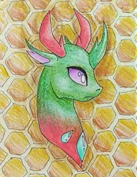 Size: 804x1035 | Tagged: safe, artist:mintytreble, derpibooru import, honeycomb, pharynx, changedling, changeling, honeycomb (structure), image, jpeg