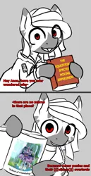 Size: 790x1535 | Tagged: safe, artist:zebra, derpibooru import, oc, oc:zieg-zag, unofficial characters only, zebra, caption, clothes, exploitable meme, fact book, image, image macro, jacket, meme, png, school of friendship, solo, text, twilight's fact book