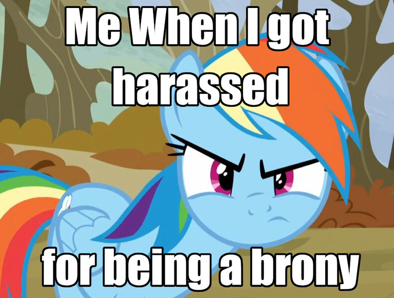 Size: 986x748 | Tagged: safe, derpibooru import, screencap, rainbow dash, pegasus, tanks for the memories, brony, caption, image, image macro, jpeg, looking at you, meme, photo, solo, text