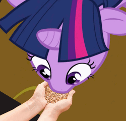Size: 566x543 | Tagged: safe, edit, edited screencap, screencap, twilight sparkle, human, pony, unicorn, animated, cute, disembodied hand, eating, feeding, feeding ponies, female, floppy ears, food, from above, gif, hand, hand feeding, high angle, image, looking at something, mare, offscreen character, overhead view, solo focus, stock image, twiabetes, unicorn twilight