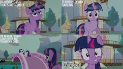 Size: 4400x2475 | Tagged: safe, derpibooru import, edit, edited screencap, editor:quoterific, screencap, rarity, twilight sparkle, magical mystery cure, image, png