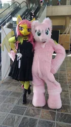 Size: 1144x2048 | Tagged: safe, derpibooru import, fluttershy, oc, oc:fluffle puff, anthro, bat pony, bronycon, bronycon 2018, bat ponified, clothes, cosplay, costume, duo, fishnets, flutterbat, fursuit, image, irl, jpeg, photo, race swap