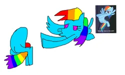Size: 1195x715 | Tagged: safe, derpibooru import, rainbow dash, fly, insect, pegasus, pony, cyan body, disembodied head, flying, image, multicolored hair, picture in picture, png, rainbow hair, two legged creature, vulgar, wat, wtf, королева кошек