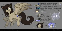 Size: 4000x2000 | Tagged: safe, artist:sinrinf, derpibooru import, oc, oc:sinrin linx, unofficial characters only, hybrid, pegasus, pony, cat ears, hybrid oc, image, paws, png, solo, wings