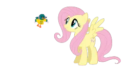 Size: 1920x1080 | Tagged: safe, artist:ianpony98, derpibooru import, fluttershy, oc, oc:sunny, bird, crossover, flying, image, png, raincoat