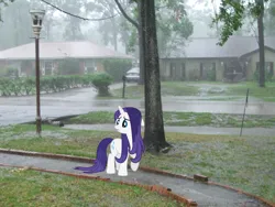 Size: 2272x1704 | Tagged: safe, artist:jaredking779, artist:themajesticpony, derpibooru import, rarity, pony, unicorn, female, houston, image, irl, jpeg, looking down, mare, photo, ponies in real life, rain, solo, texas, wet, wet mane, wet mane rarity