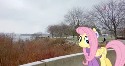 Size: 2000x1067 | Tagged: safe, artist:jaredking779, artist:luckreza8, derpibooru import, fluttershy, pegasus, pony, autumn, burlington, clothes, earmuffs, female, image, irl, jpeg, mare, photo, ponies in real life, solo, sweater, vermont