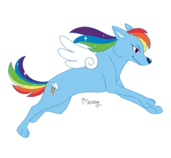 Size: 930x859 | Tagged: safe, artist:beinting, derpibooru import, rainbow dash, dog, dogified, female, image, png, rainbow dog, signature, simple background, solo, species swap, transparent background, winged dog, wings