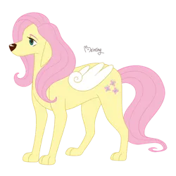 Size: 894x894 | Tagged: safe, artist:beinting, derpibooru import, fluttershy, dog, cute, dogified, female, flutterdog, image, png, shyabetes, signature, simple background, solo, species swap, transparent background, winged dog, wings