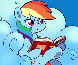 Size: 1250x1035 | Tagged: safe, artist:talimingi, derpibooru import, rainbow dash, pegasus, pony, annoyed, book, cloud, image, jpeg, meme, on a cloud, ponified meme, reading, sitting, sitting on cloud, tom and jerry, tom reading the newspaper