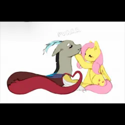Size: 2048x2048 | Tagged: safe, artist:inoghmia, derpibooru import, discord, fluttershy, draconequus, pegasus, behaving like a cat, cute, discoshy, discute, female, image, jpeg, male, purring, shipping, simple background, straight, white background