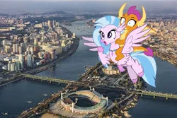 Size: 749x500 | Tagged: safe, artist:frownfactory, derpibooru import, edit, silverstream, smolder, dragon, hippogriff, pony, dragoness, dragons riding hippogriffs, female, flying, horns, image, irl, jewelry, jpeg, necklace, north korea, open mouth, photo, ponies in real life, pyongyang, riding, smolder riding silverstream, wings