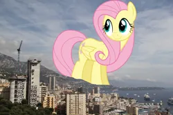 Size: 2048x1365 | Tagged: safe, artist:dashiesparkle, artist:jaredking779, derpibooru import, fluttershy, pegasus, pony, female, folded wings, giant pegasus, giant pony, giantess, giantshy, highrise ponies, image, irl, jpeg, macro, mare, mega giant, monaco, photo, ponies in real life, wings