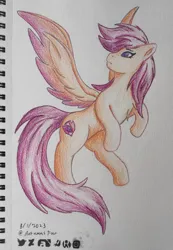 Size: 2177x3153 | Tagged: safe, artist:autumnsfur, derpibooru import, scootaloo, pegasus, pony, chest fluff, colored, cutie mark, date, eyelashes, female, full body, head turn, hooves, hopeful, image, irl, jpeg, logo, long hair, long mane, long tail, mare, older, older scootaloo, orange coat, orange fur, pencil drawing, photo, pink hair, pink mane, purple eyes, purple hair, purple mane, scootaloo can fly, signature, simple background, sketch, solo, spread wings, standing on two hooves, tail, traditional art, wings