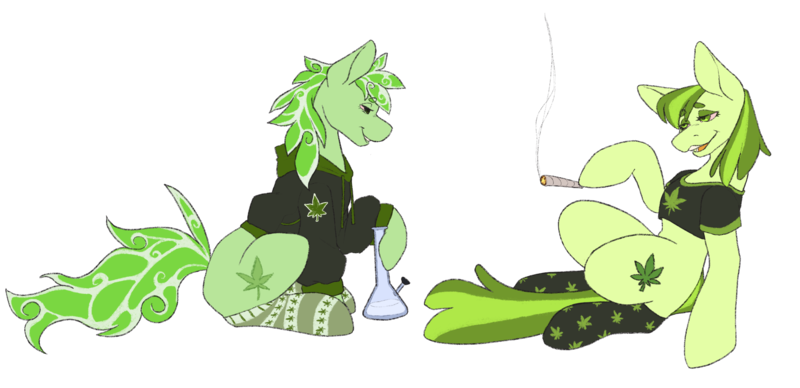 Size: 2732x1324 | Tagged: safe, artist:snows-undercover, derpibooru import, oc, oc:hemp tea, oc:stoney poney, unofficial characters only, earth pony, pony, derpibooru community collaboration, 2023 community collab, bloodshot eyes, blunt, bong, clothes, drugs, duo, female, grin, high, hoodie, hoof hold, image, mare, marijuana, open mouth, png, raised hoof, shirt, sitting, smiling, smoke, smoking, socks, stockings, striped socks, t-shirt, thigh highs