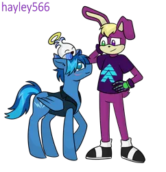 Size: 2165x2241 | Tagged: safe, artist:hayley566, derpibooru import, oc, oc:karma, image, png, sonic the hedgehog (series)