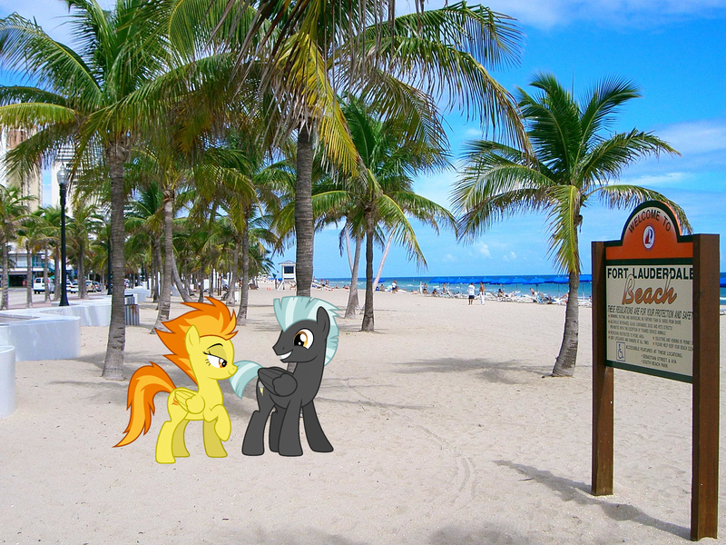 Size: 2048x1536 | Tagged: safe, artist:chainchomp2 edits, artist:dashiesparkle, derpibooru import, edit, spitfire, thunderlane, pegasus, pony, beach, bedroom eyes, female, firelane, florida, fort lauderdale, image, irl, jpeg, lidded eyes, male, mare, photo, ponies in real life, shipping, stallion, straight