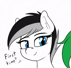 Size: 934x892 | Tagged: safe, artist:seafooddinner, derpibooru import, oc, oc:ablpone, oc:astrapone, unofficial characters only, earth pony, pony, abl, astra, bust, dialogue, ear fluff, earth pony oc, female, image, jpeg, mare, simple background, talking, white background