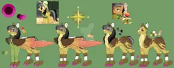 Size: 1280x509 | Tagged: safe, artist:malinraf1615, derpibooru import, a.k. yearling, daring do, quibble pants, earth pony, pegasus, pony, alternate design, cheek feathers, chest fluff, daringpants, deviantart watermark, feathered fetlocks, female, green background, image, male, mare, obtrusive watermark, png, reference sheet, scar, screencap reference, shipping, simple background, stallion, straight, watermark