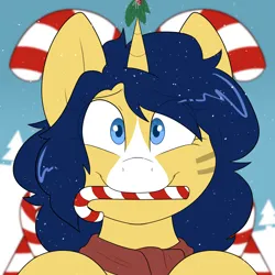 Size: 2000x2000 | Tagged: safe, artist:2k.bugbytes, ponybooru import, oc, oc:flash reboot, unofficial characters only, pony, unicorn, bust, candy, candy cane, christmas, clothes, commission, female, food, holiday, holly, holly mistaken for mistletoe, image, looking at you, mare, mouth hold, png, portrait, scarf, smiling, smiling at you, snow, snowfall, solo, ych example, your character here
