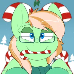 Size: 2000x2000 | Tagged: safe, artist:2k.bugbytes, ponybooru import, oc, oc:sapphie, unofficial characters only, pegasus, pony, bags under eyes, bust, candy, candy cane, christmas, clothes, commission, female, food, freckles, glasses, holiday, holly, holly mistaken for mistletoe, image, lidded eyes, looking at you, mare, mouth hold, png, portrait, scarf, smiling, snow, snowfall, solo, two toned mane, ych result