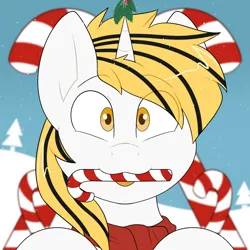 Size: 2000x2000 | Tagged: safe, artist:2k.bugbytes, ponybooru import, oc, oc:srok, unofficial characters only, pony, unicorn, bust, candy, candy cane, christmas, clothes, commission, food, holiday, holly, holly mistaken for mistletoe, image, looking at you, mouth hold, png, portrait, scarf, smiling, snow, snowfall, solo, tongue out, two toned mane, ych result