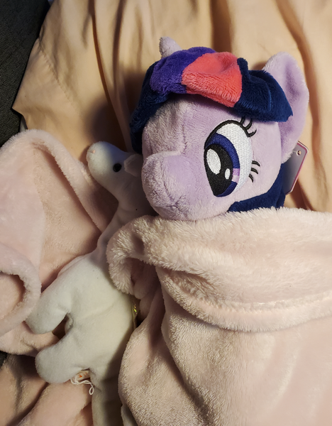 Size: 2850x3655 | Tagged: safe, derpibooru import, twilight sparkle, pony, 4de, image, photo, plushie, png