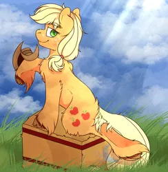 Size: 2048x2098 | Tagged: safe, artist:bluemoon, derpibooru import, applejack, earth pony, pony, background, chest fluff, field, hat, hay bale, image, png, smiling, solo, unshorn fetlocks