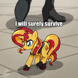 Size: 4500x4500 | Tagged: safe, alternate version, artist:theratedrshimmer, derpibooru import, sunset shimmer, ponified, pony, unicorn, equestria girls, absurd resolution, cute, female, human sunset, image, implied sunset shimmer, png, ponified animal photo, scrunchy face, self paradox, self ponidox, shimmerbetes